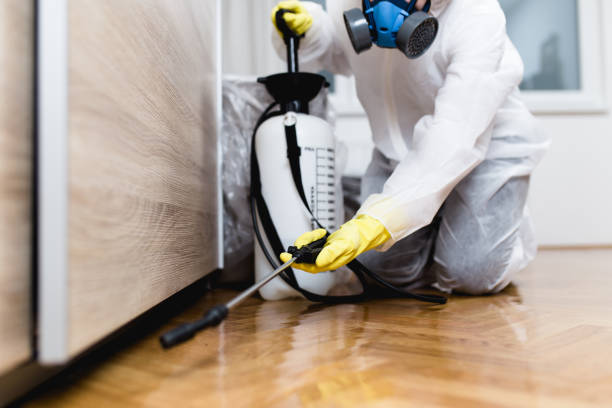Reliable Mcloud, OK Pest Control Solutions