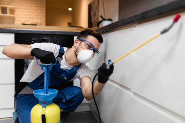 Best Emergency Pest Control  in Mcloud, OK