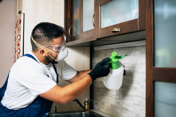 Best Rat Extermination Near Me  in Mcloud, OK