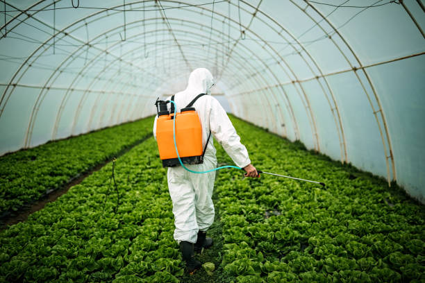 Best Mosquito Control Services  in Mcloud, OK