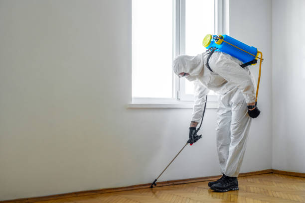 Best Pest Control Near Me in Mcloud, OK