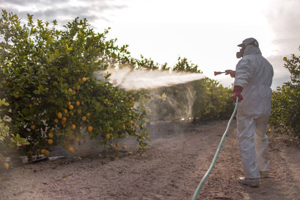 Best Pest Control Near Me  in Mcloud, OK