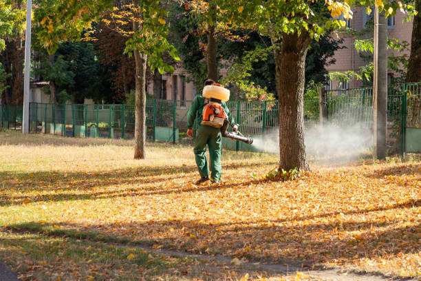 Best Pest Inspection Near Me  in Mcloud, OK