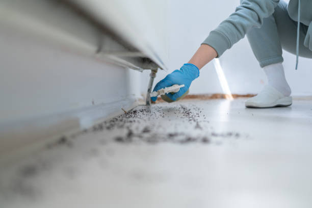 Pest Control Cost in Mcloud, OK