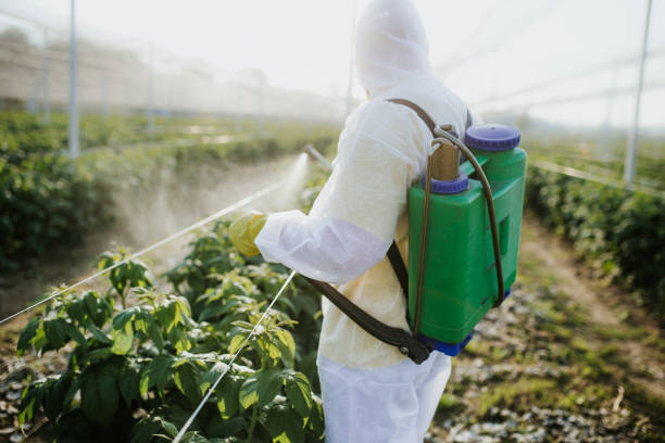 Best Best Pest Control Companies  in Mcloud, OK